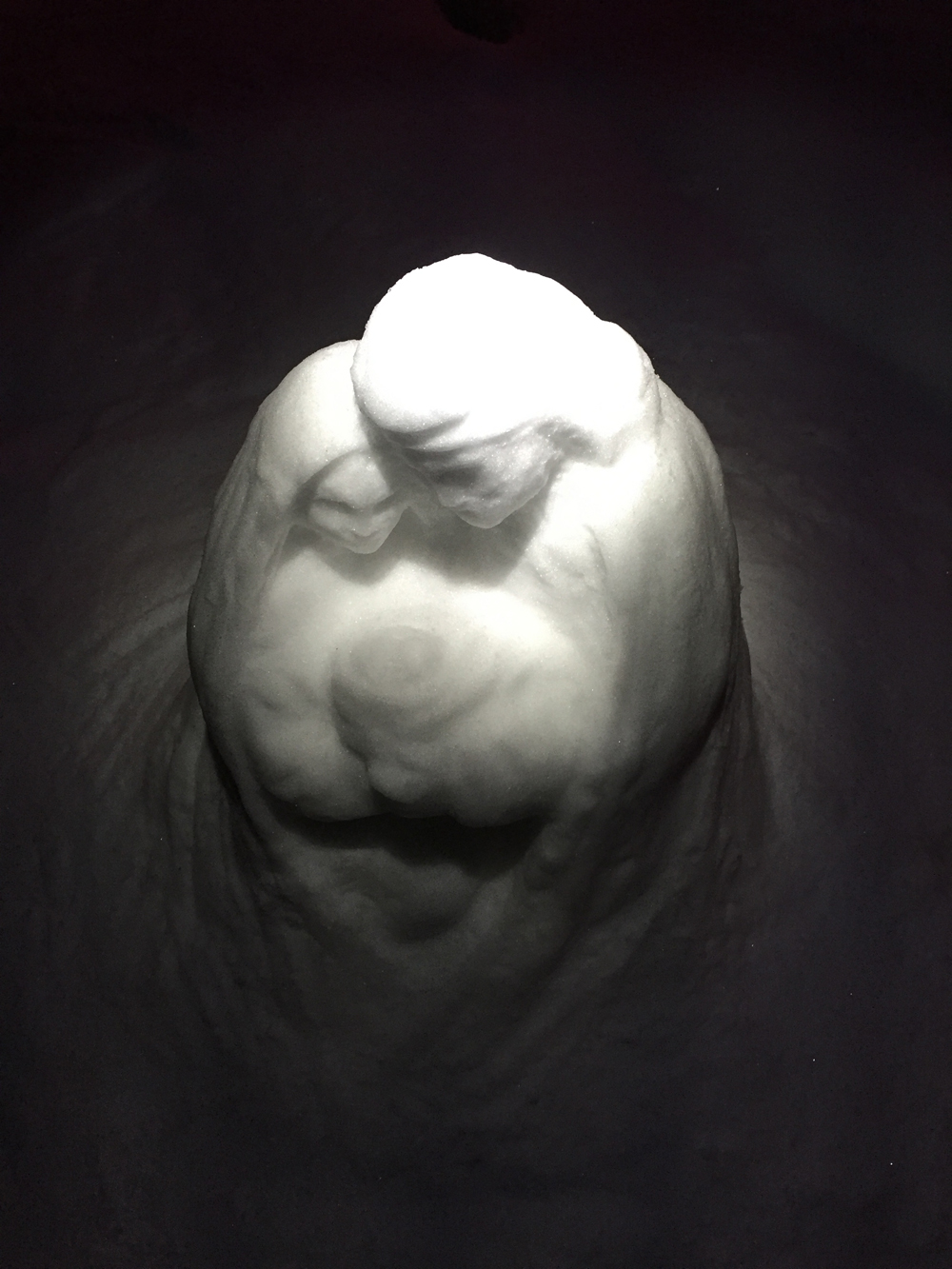 Nativity Snow Sculpt 4